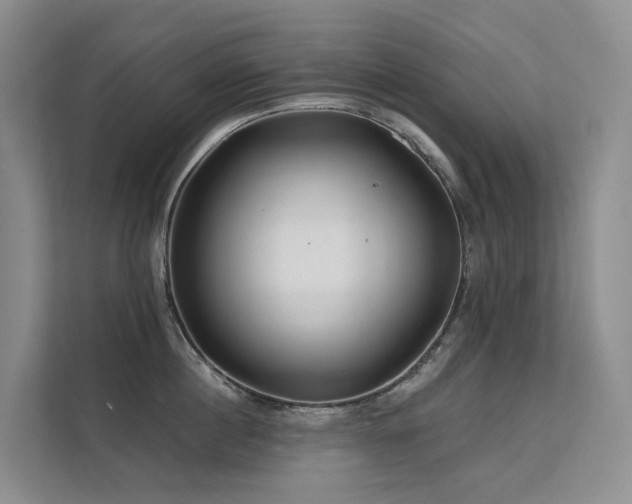 X0000112160860200908071137