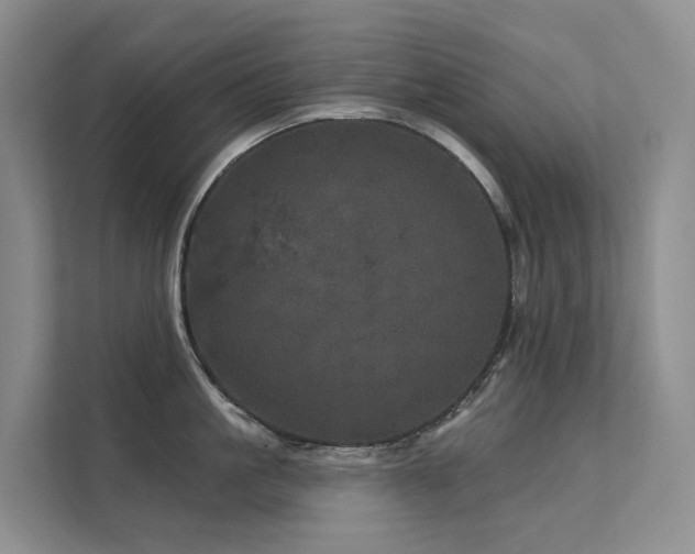 X0000112160861200908071137