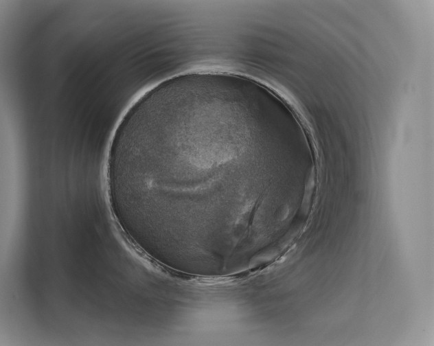 X0000112160864200908071137