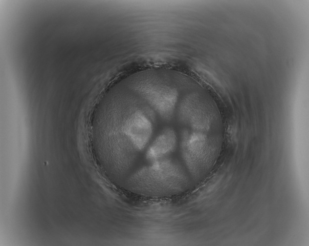 X0000112160865200908071136