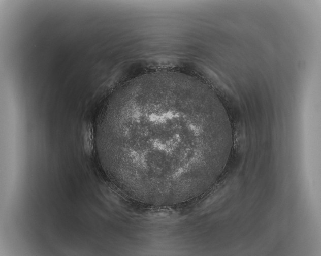 X0000112160866200908071136