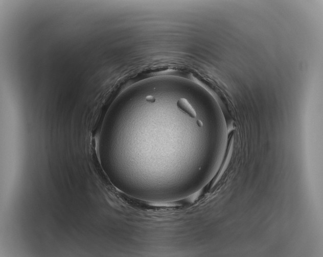 X0000112160868200908071136