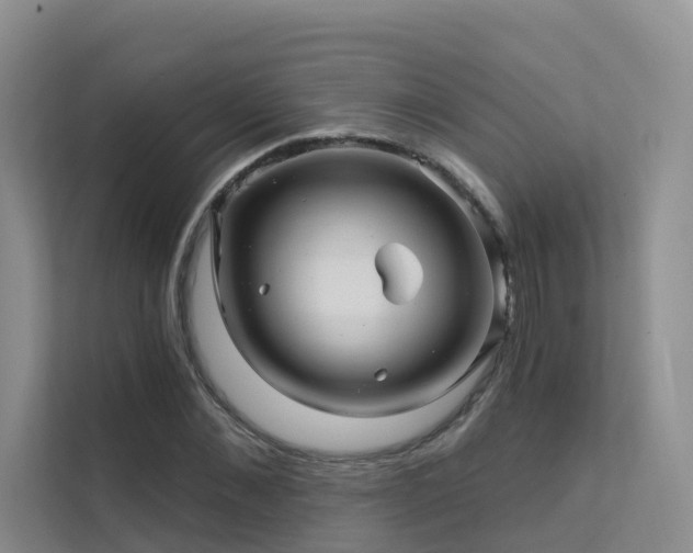 X0000112160876200908071136