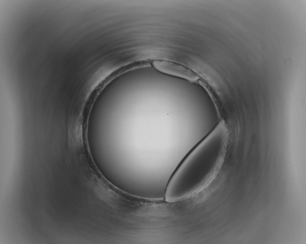 X0000112160877200908071136