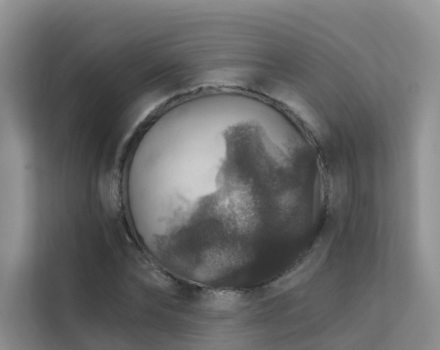 X0000112160878200908071136