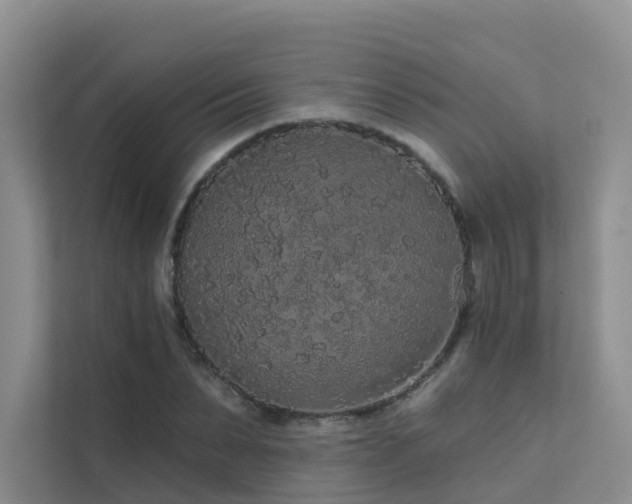 X0000112160879200908071136
