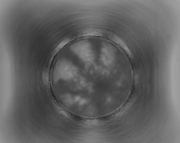 X0000112160882200908071136