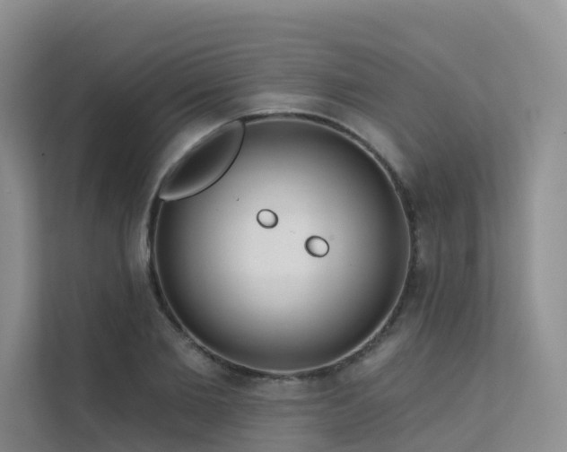 X0000112160885200908071136