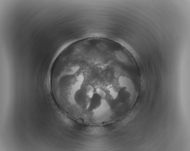 X0000112160886200908071136