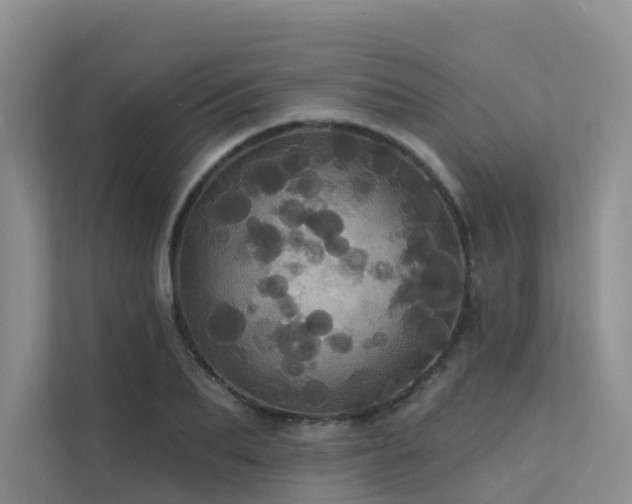 X0000112160887200908071136