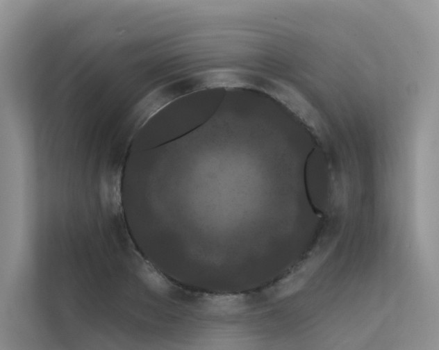 X0000112160889200908071136