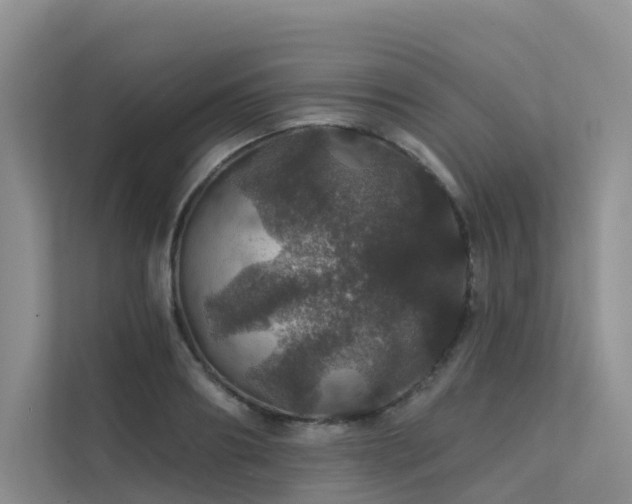 X0000112160890200908071136