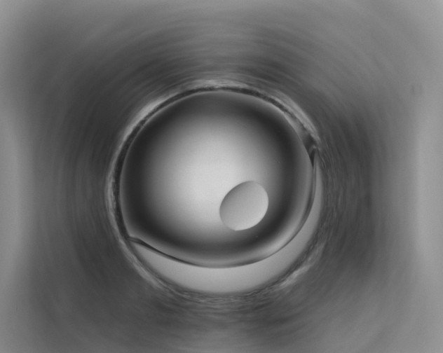 X0000112160893200908071136