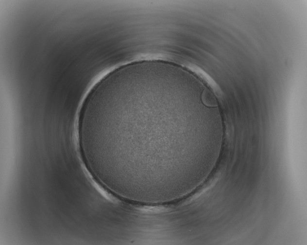 X0000112160894200908071136