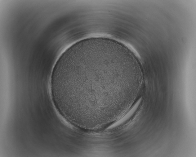 X0000112160895200908071136
