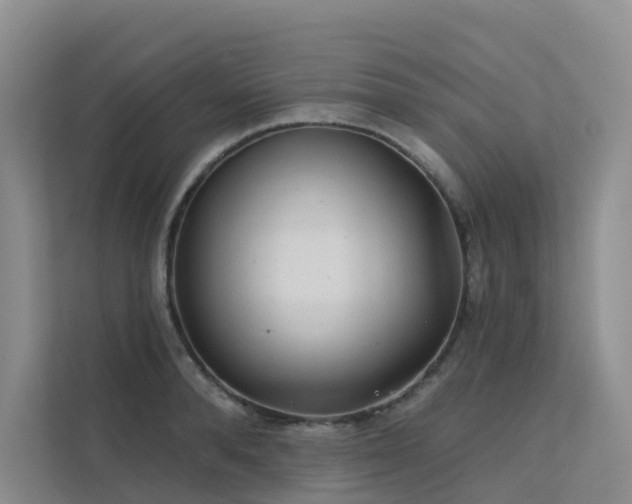 X0000112160896200908071136