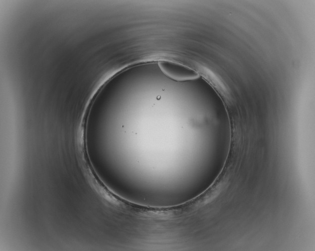 X0000112160900200908071136