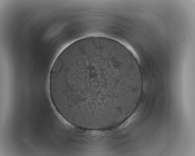 X0000112160903200908071136