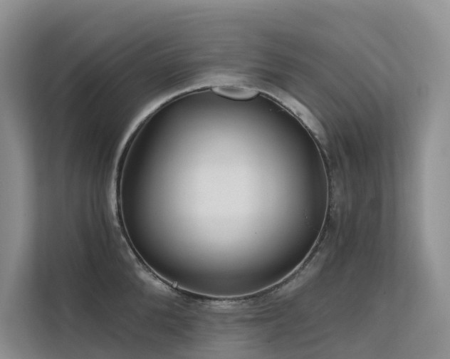 X0000112160904200908071136