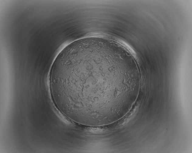 X0000112160907200908071135