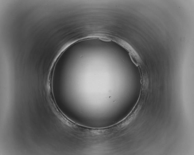 X0000112160908200908071135