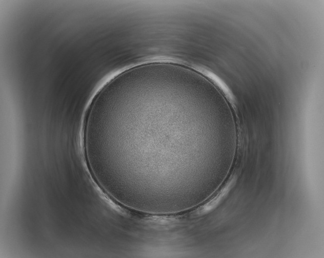 X0000112160910200908071135
