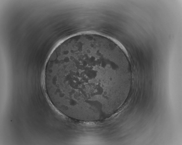 X0000112160911200908071135
