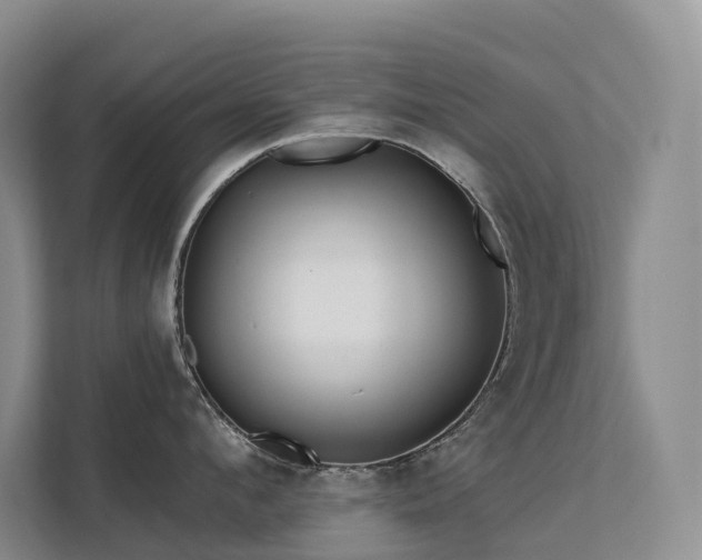 X0000112160912200908071135
