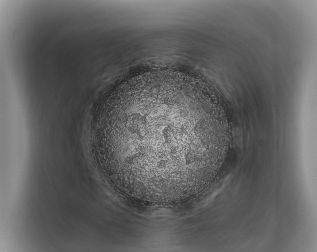 X0000112160913200908071135