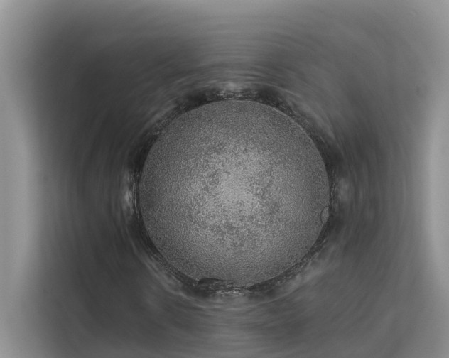 X0000112160914200908071135