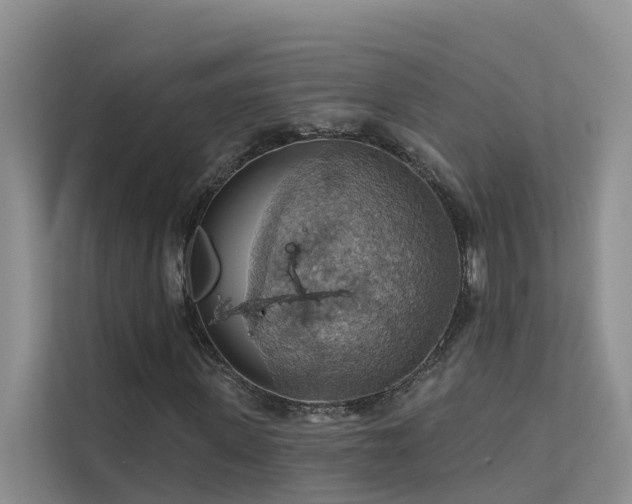 X0000112160915200908071135