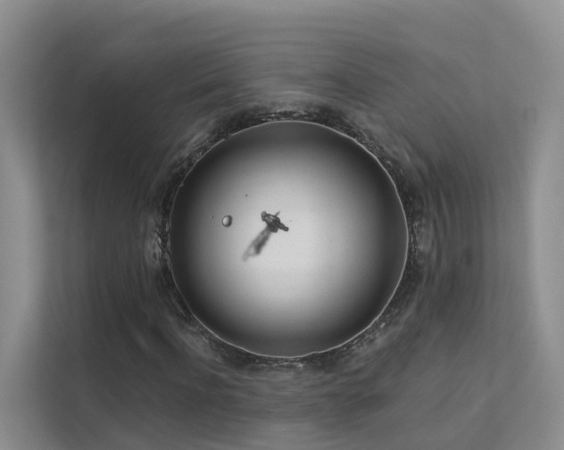 X0000112160916200908071135