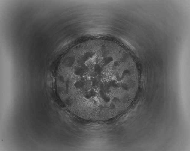 X0000112160917200908071135