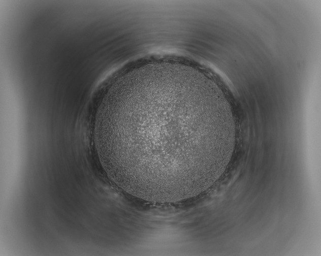 X0000112160919200908071135