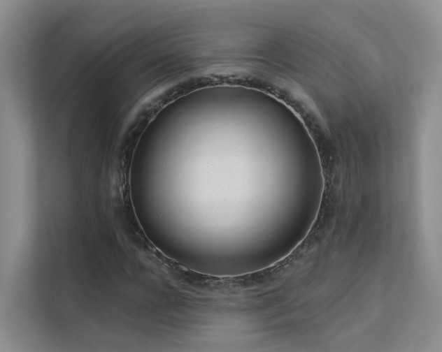 X0000112160920200908071135