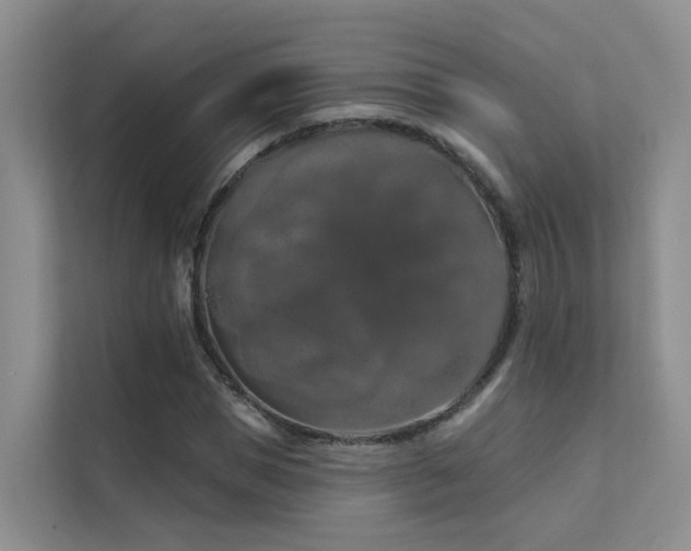 X0000112160921200908071135