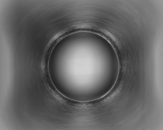 X0000112160922200908071135