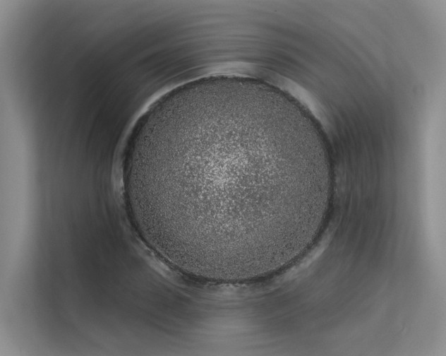 X0000112160923200908071135