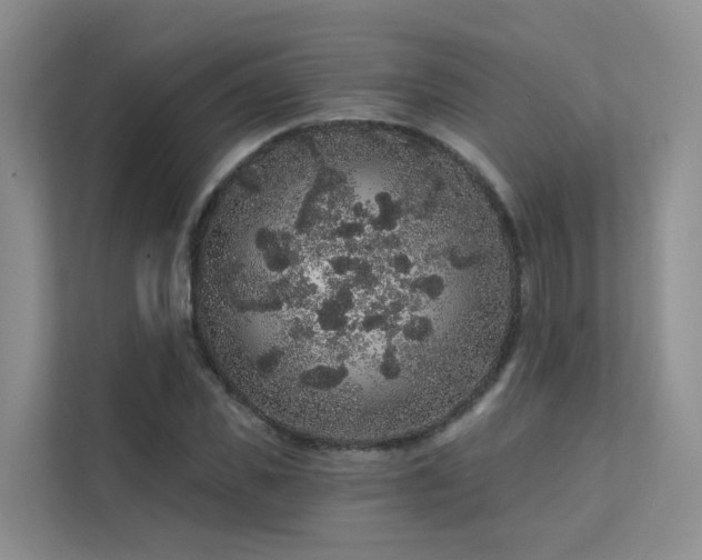 X0000112160925200908071135