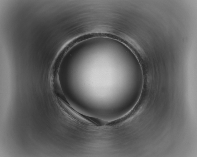 X0000112160926200908071135