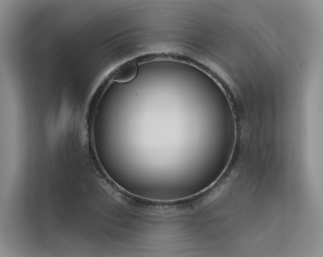 X0000112160927200908071135