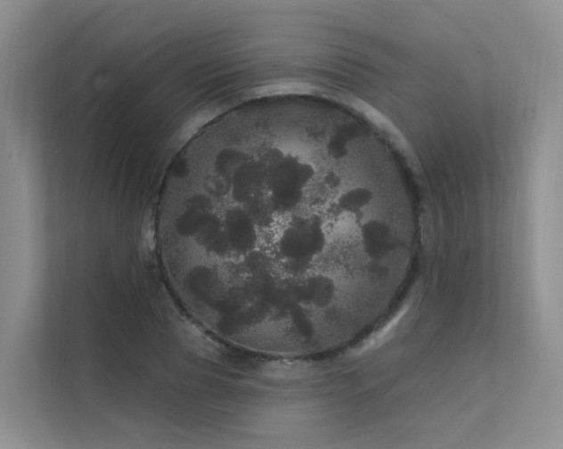 X0000112160929200908071135