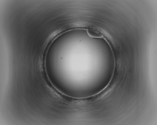 X0000112160930200908071135
