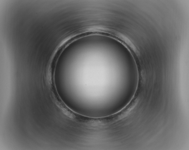 X0000112160931200908071135