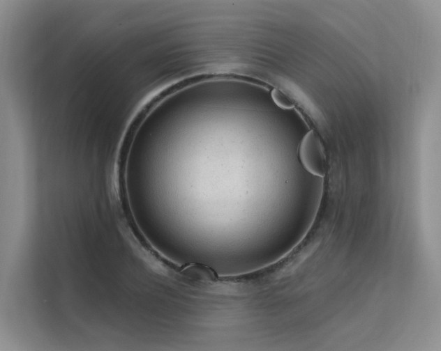 X0000112160932200908071135