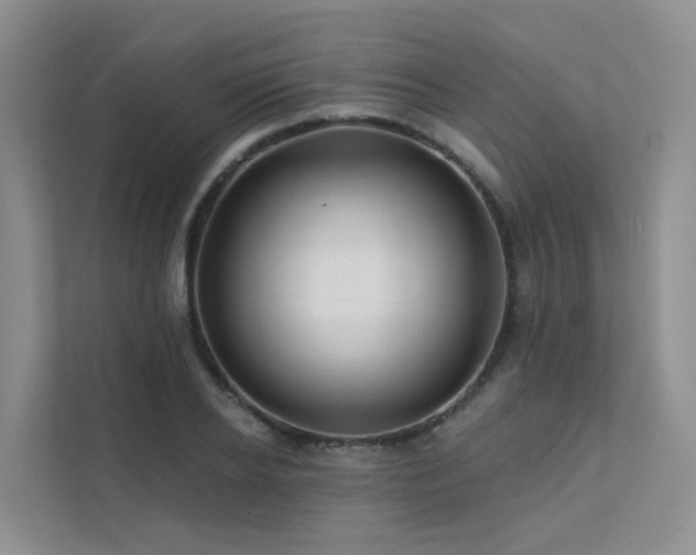 X0000112160934200908071135