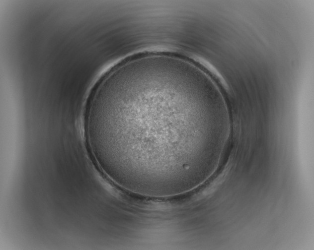 X0000112160935200908071135
