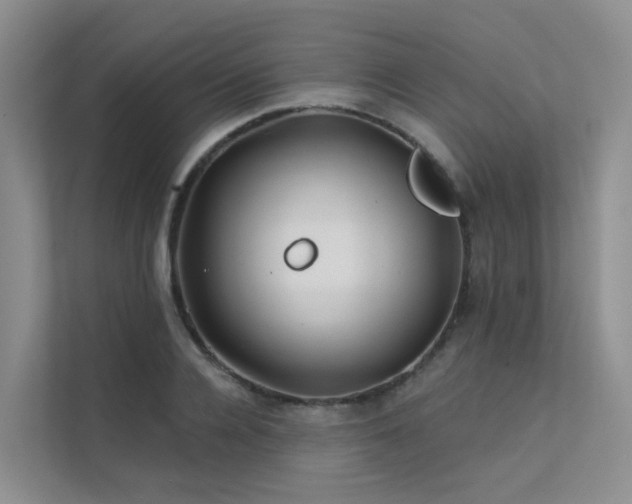 X0000112160936200908071135