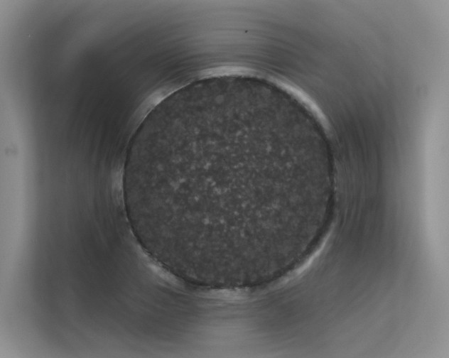 X0000112160937200908071135
