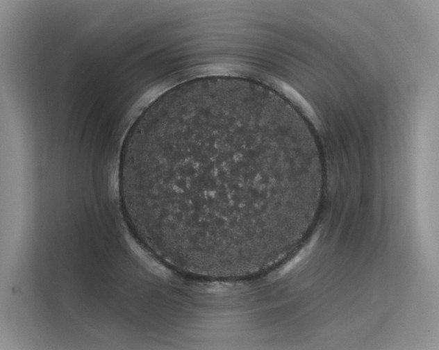 X0000112160938200908071135